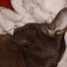 Фото клиента EVA