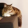 Фото клиента EVA