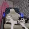 Фото клиента EVA