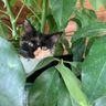 Фото клиента EVA