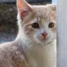 Фото клиента EVA