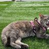 Фото клиента EVA