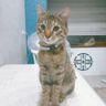 Фото клиента EVA