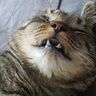 Фото клиента EVA