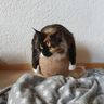Фото клиента EVA
