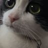 Фото клиента EVA
