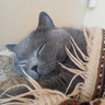 Фото клиента EVA