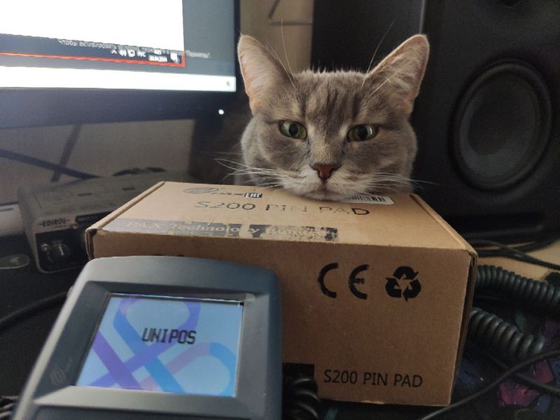 Luna — foto 1
